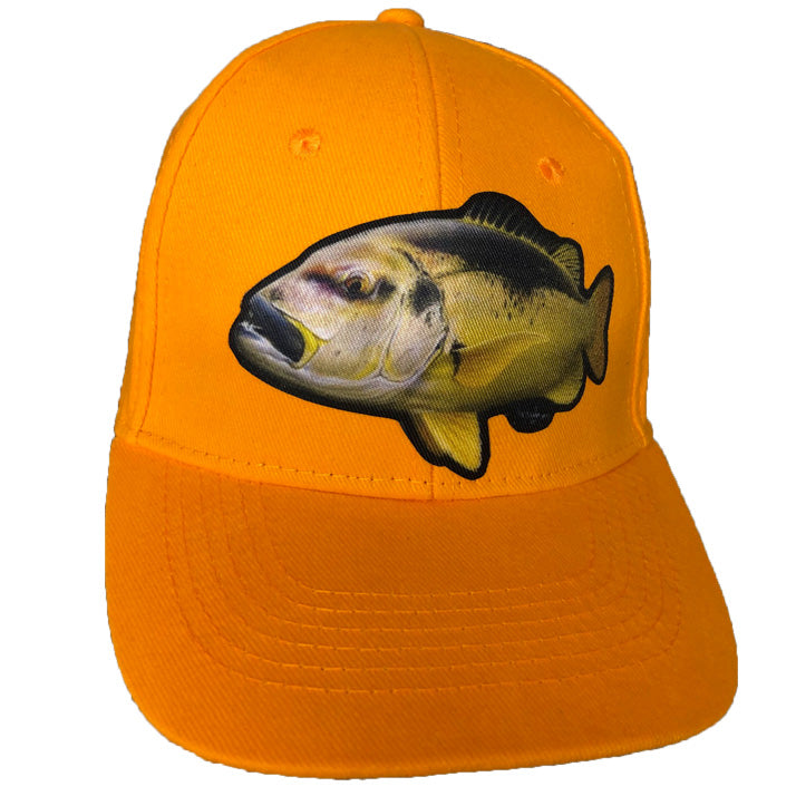 Red Steenbras - New Americano