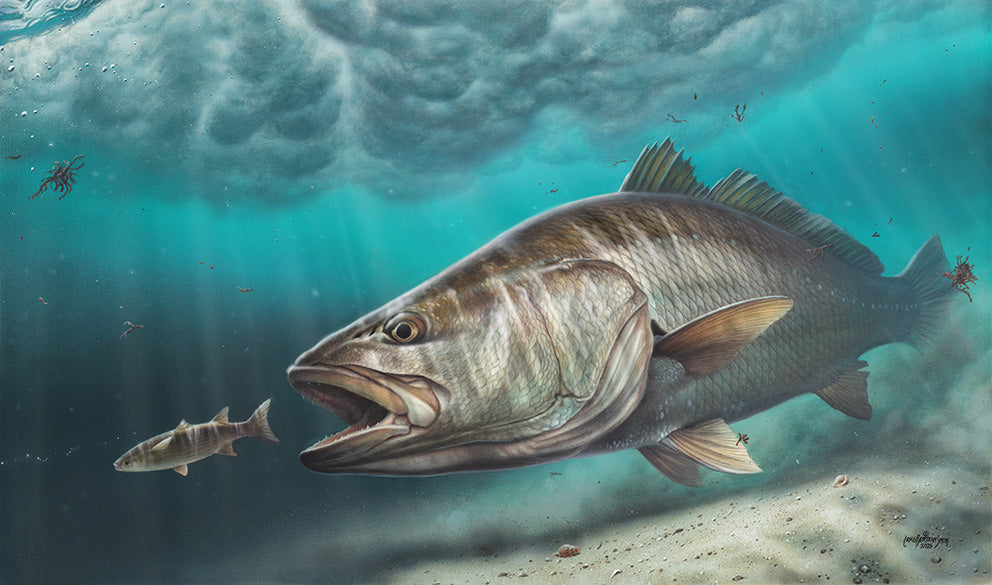 Edge of the Sandbank