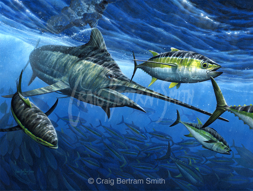 a painting of a black marlin chasing a yellowfin tuna