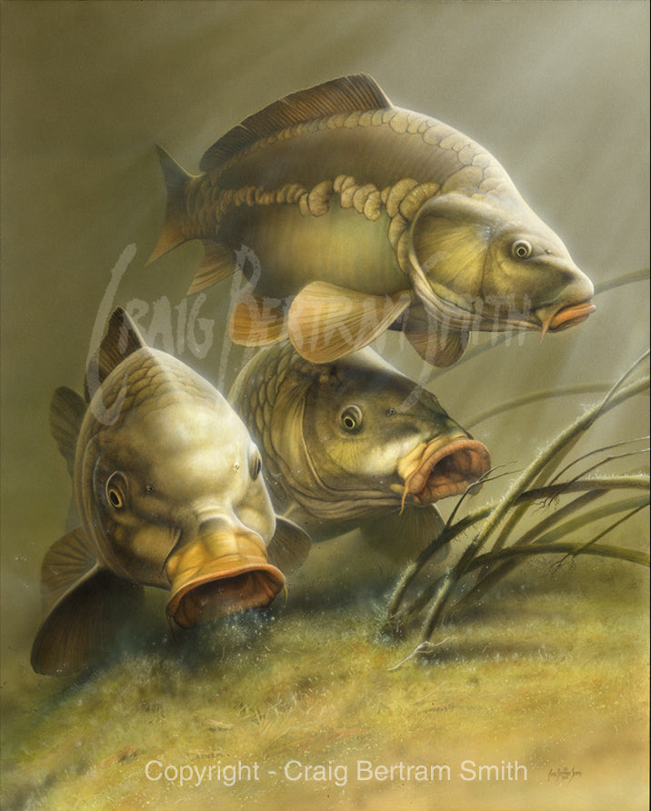 a painting of carp swimming and feeding together