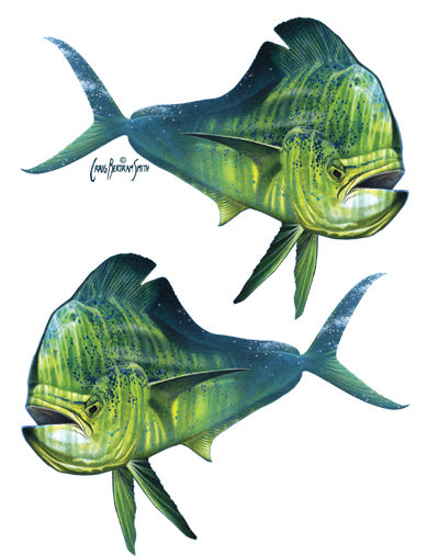 dorado sticker or decal
