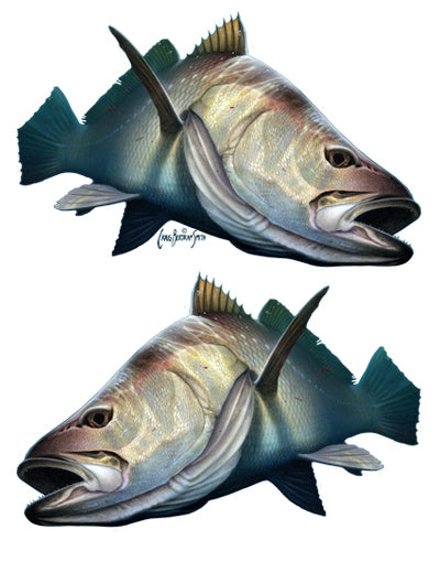 kabeljou sticker or decal