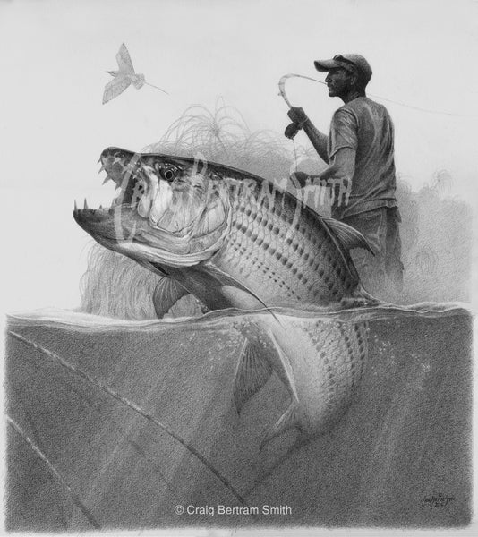 a pencil drawing of a tigerfish jumping with s fly fisherman in the background