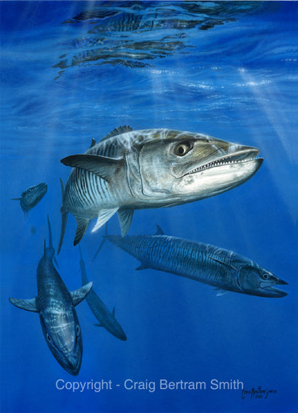 a painting of a spanish mackerel swimming underwater