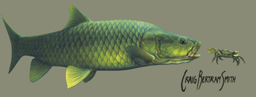 Sea sales fishing jackets