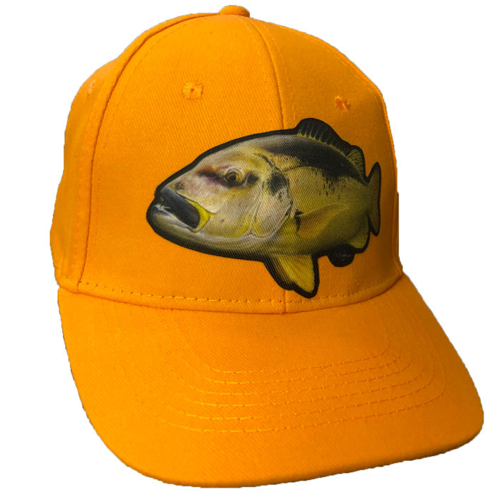 Red Steenbras - New Americano