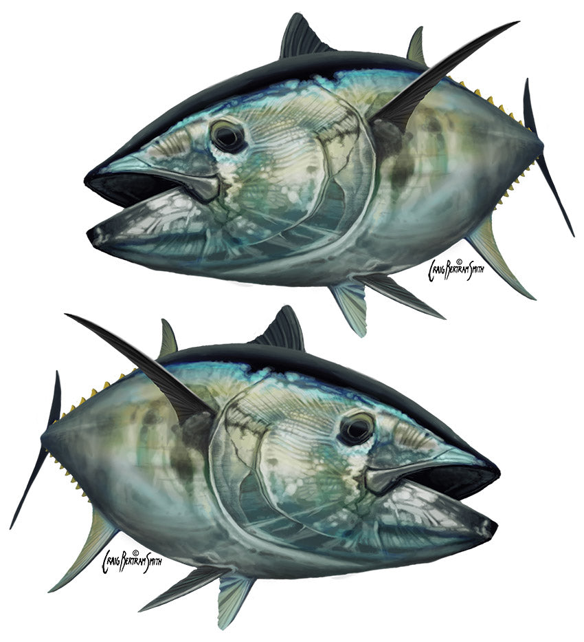 Bluefin Tuna Decal