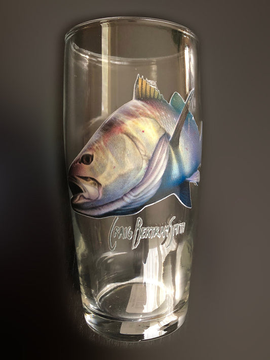 Kob Glasses