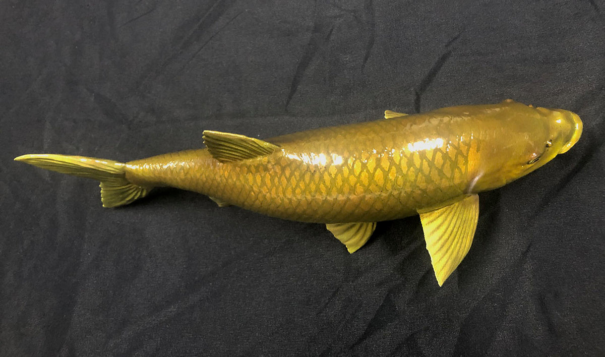 Smallmouth Yellowfish Model