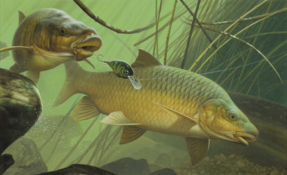 Yellowfish of South Africa