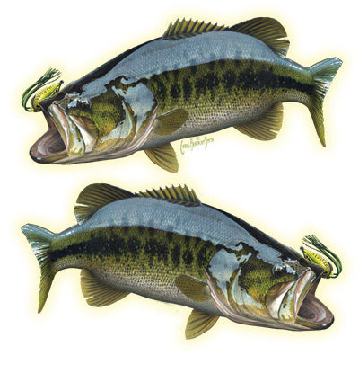 bass sticker or decal