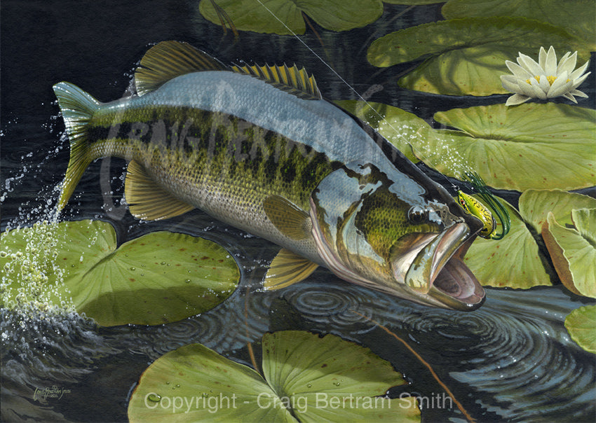 a painting of a large mouth bass jumping