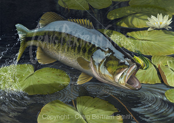 a painting of a large mouth bass jumping