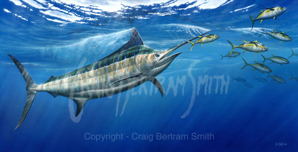 A painting showing a blue marlin chasing yellowfin tuna near the water's surface