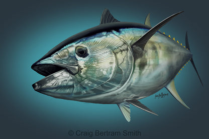 Bluefin Tuna