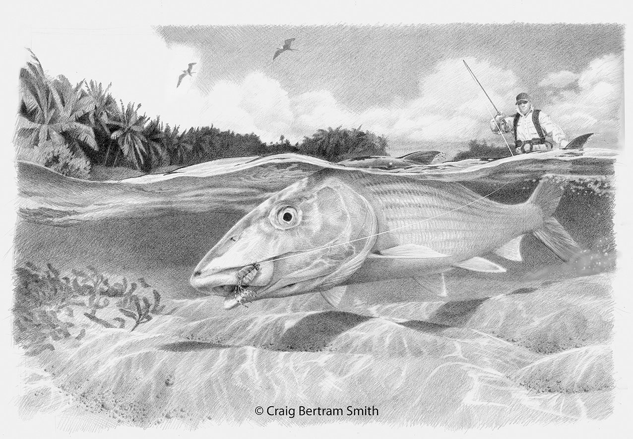 Bonefish Drawing