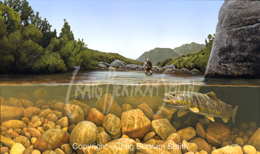 a painting of a brown trout about to take a fly with a fly fisherman in the background
