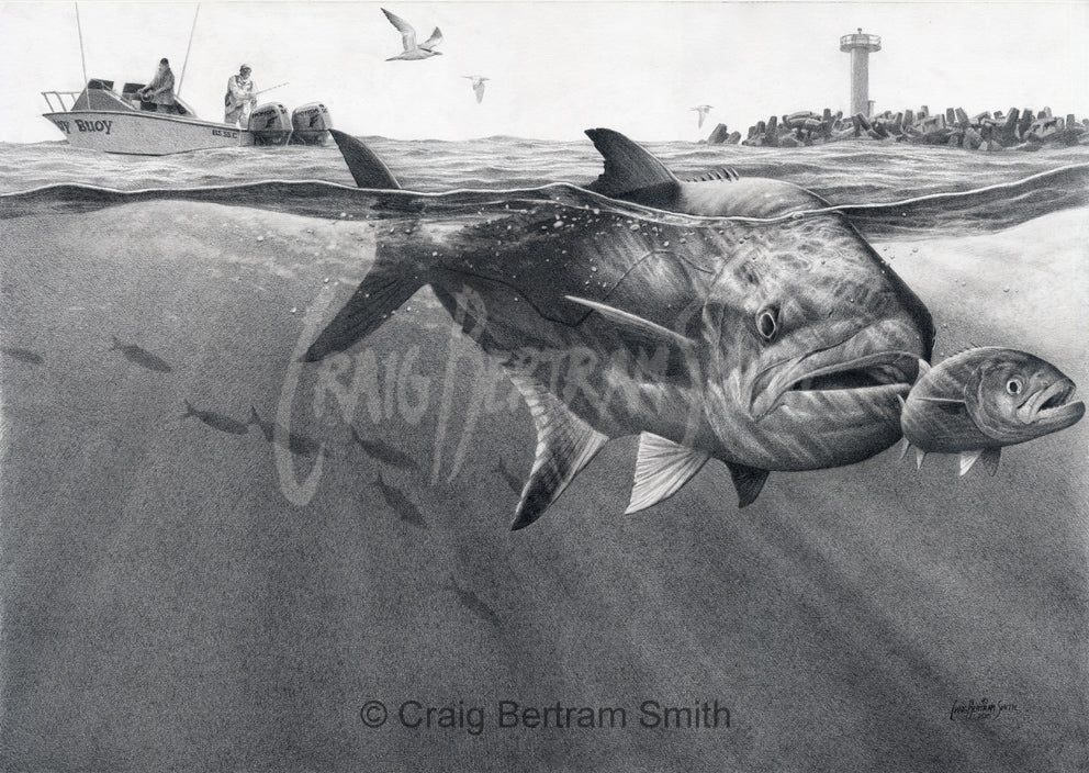 a pencil drawing of a leerie chasing a shad at the port elizabeth harbour
