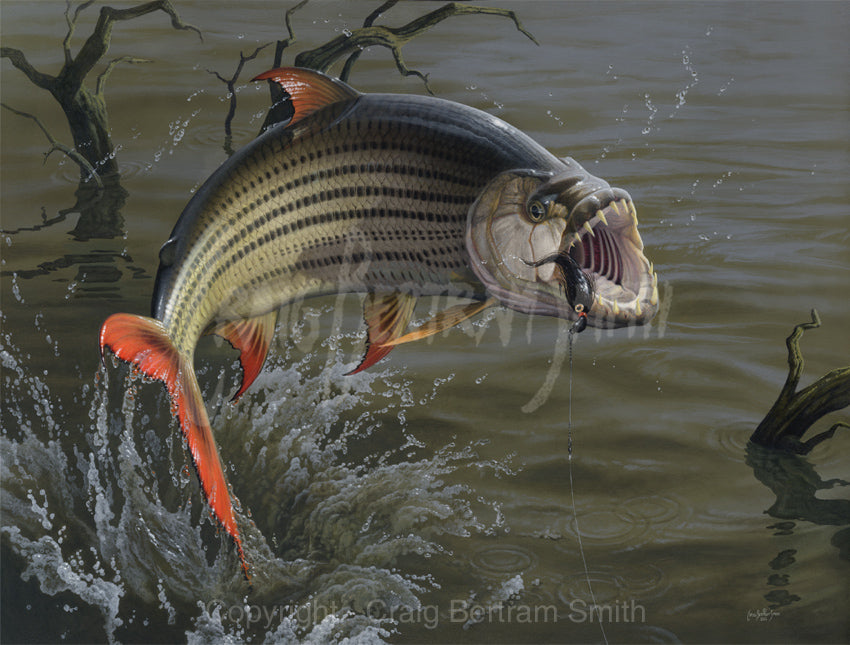 a painting of a tigerfish jumping with its mouth open baring its teeth