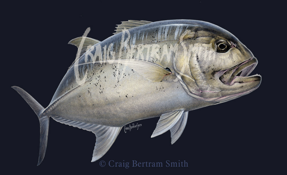a painting of giant trevally GT