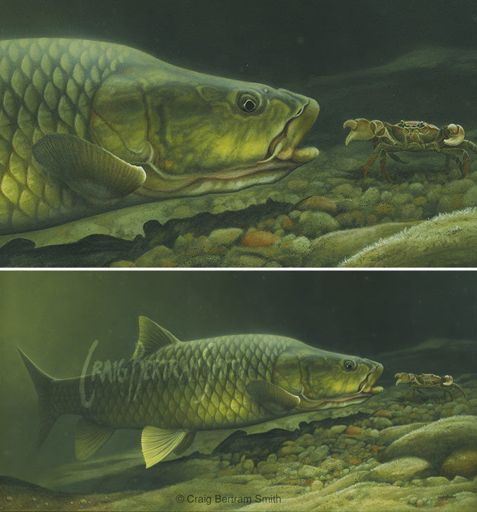 Instinctual Impulse - Largemouth Yellowfish