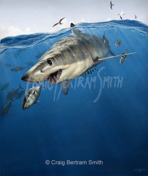 mako shark chasing tuna underwater