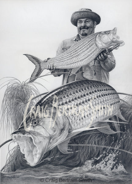 a pencil drawing of a tigerfish jumping with a fisherman holding a fish in the background