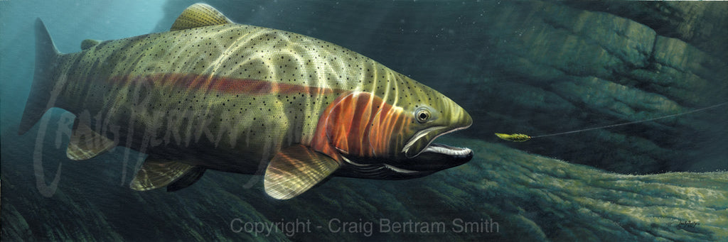 a painting of a rainbow trout underwater chasing a fly