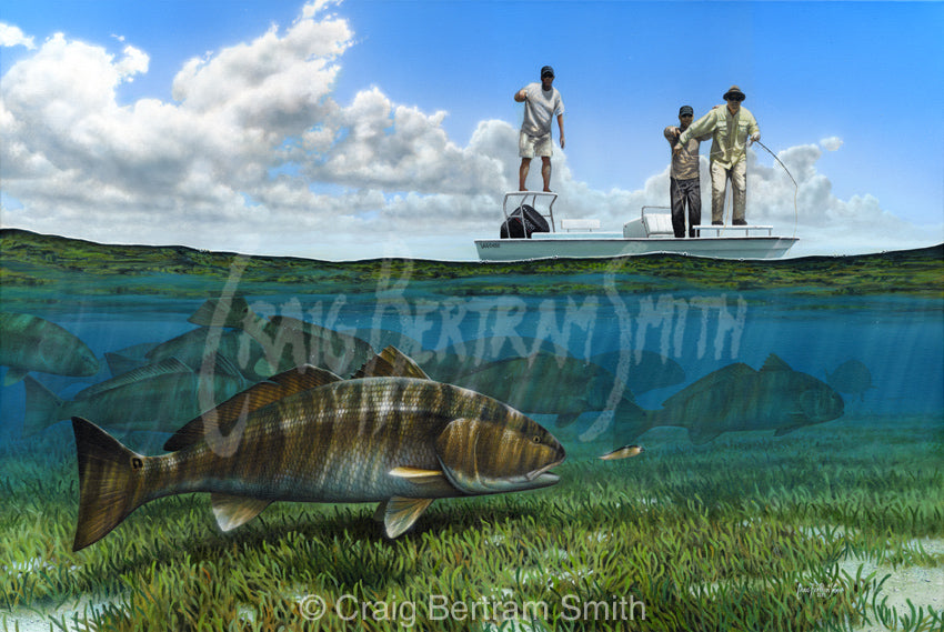a painting of a fly fisherman stripping a fly to a redfish in florida