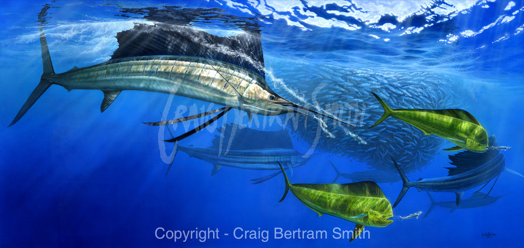 a painting of sailfish and dorado hunting bait fish around a bait ball