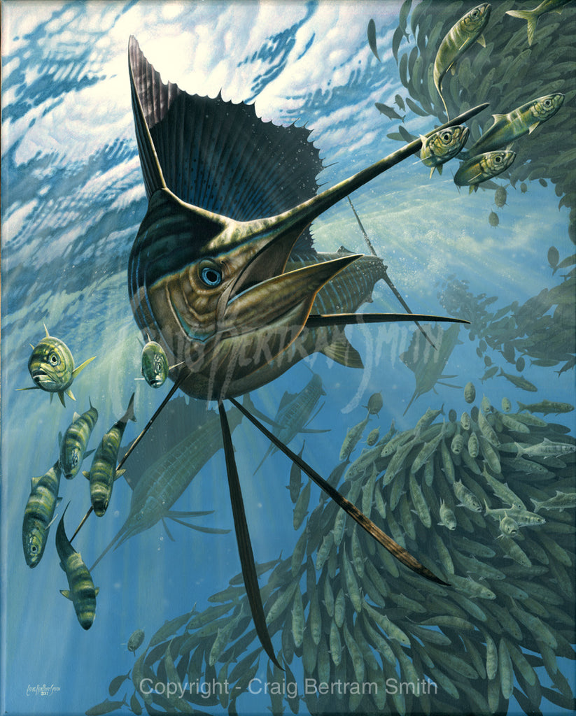 a painting of a sailfish chasing bait fish round a bait ball