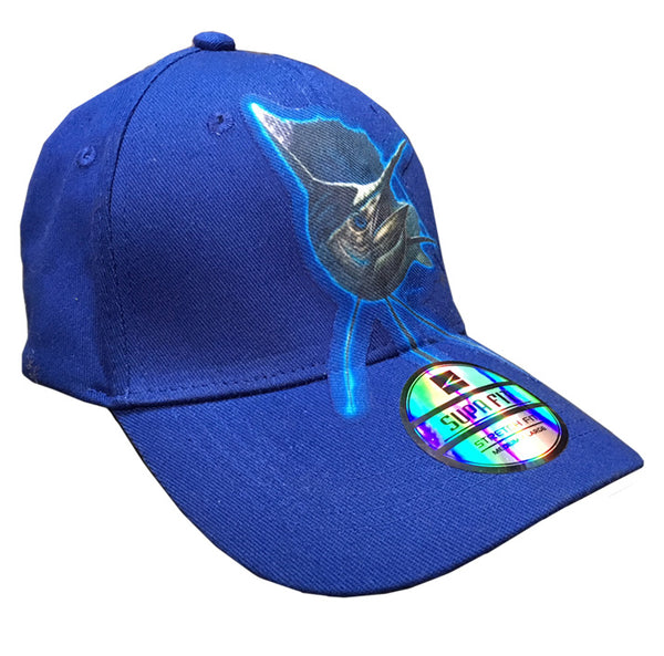 blue cap with sailfish artwork