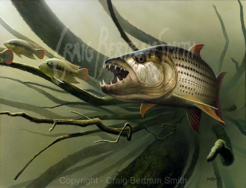 a painting of a tigerfish chasing bream with a sunken tree in the background