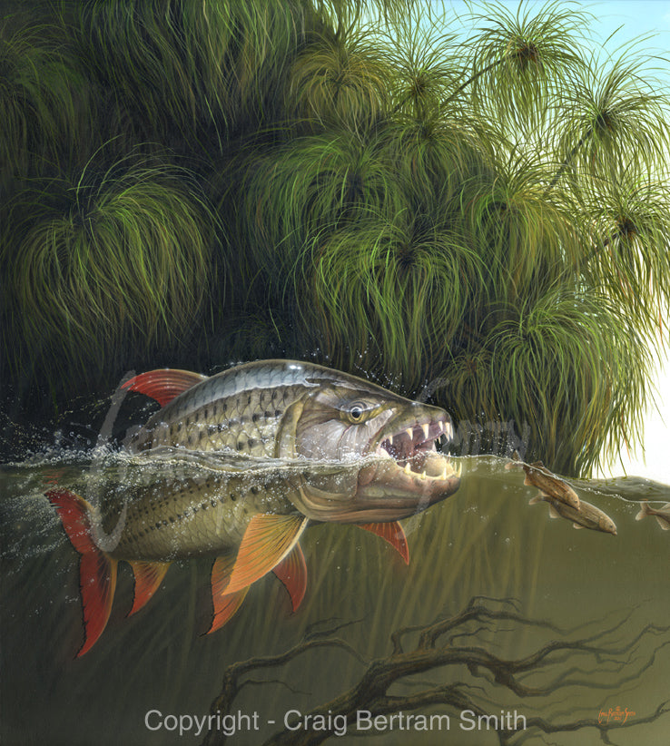 a painting of a tigerfish underwater chasing bulldog fish with reeds in the background