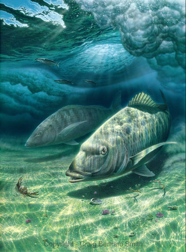 a painting of white steenbras fish hunting under water in the surf