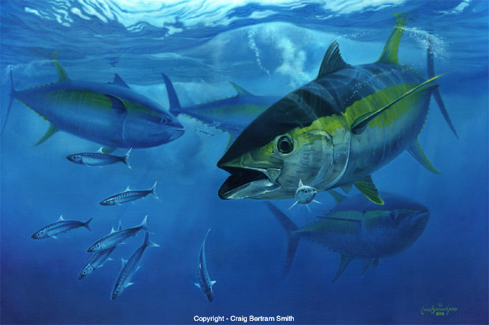 a painting of a yellowfin tuna hunting underwater