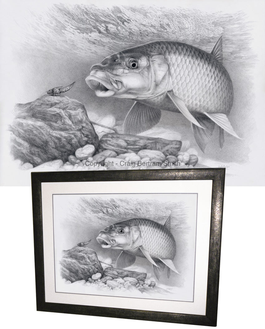 a pencil drawing of a small scale yellowfish