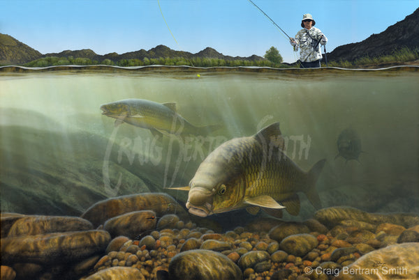 a painting of a yellowfish about to eat a fly presented to it by a fly fisherman in the background